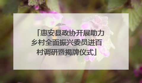 惠安县政协开展助力乡村全面振兴委员进百村调研暨揭牌仪式