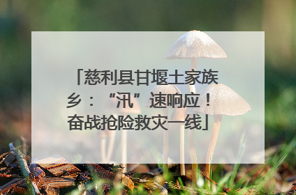 慈利县甘堰土家族乡：“汛”速响应！奋战抢险救灾一线