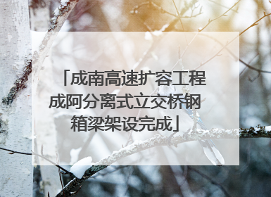 成南高速扩容工程成阿分离式立交桥钢箱梁架设完成