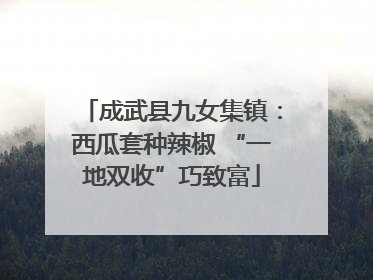 成武县九女集镇：西瓜套种辣椒 “一地双收”巧致富