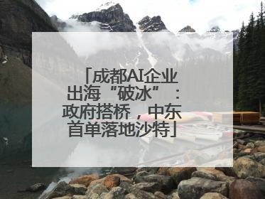 成都AI企业出海“破冰”：政府搭桥，中东首单落地沙特
