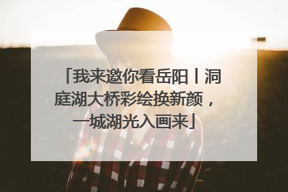 我来邀你看岳阳丨洞庭湖大桥彩绘换新颜，一城湖光入画来