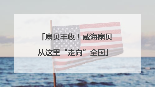 扇贝丰收！威海扇贝从这里“走向”全国