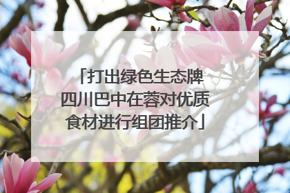 打出绿色生态牌 四川巴中在蓉对优质食材进行组团推介