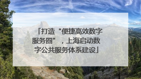 打造“便捷高效数字服务圈”，上海启动数字公共服务体系建设