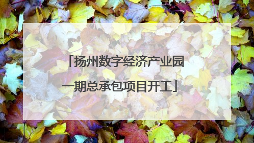 扬州数字经济产业园一期总承包项目开工
