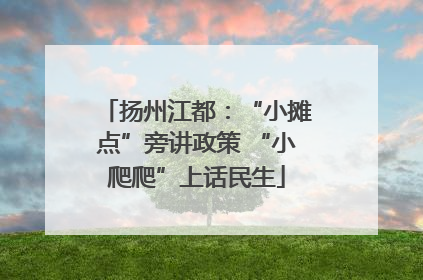 扬州江都：“小摊点”旁讲政策 “小爬爬”上话民生