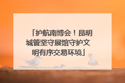 护航南博会！昆明城管坚守展馆守护文明有序交易环境