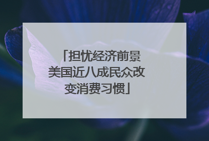 担忧经济前景 美国近八成民众改变消费习惯