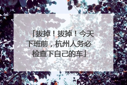 拔掉！拔掉！今天下班前，杭州人务必检查下自己的车