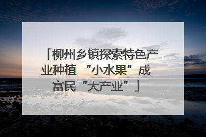 柳州乡镇探索特色产业种植 “小水果”成富民“大产业”