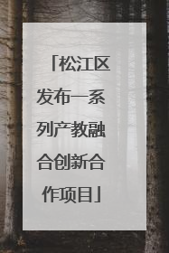 松江区发布一系列产教融合创新合作项目