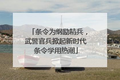 条令为纲励精兵，武警官兵掀起新时代条令学用热潮