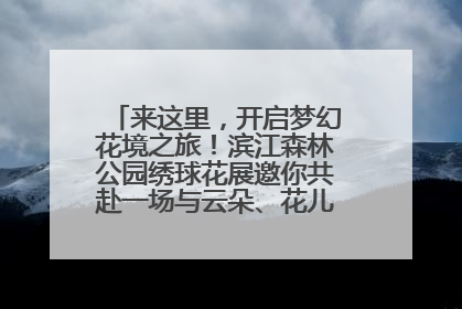 来这里，开启梦幻花境之旅！滨江森林公园绣球花展邀你共赴一场与云朵、花儿的浪漫之约