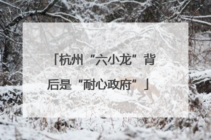杭州“六小龙”背后是“耐心政府”
