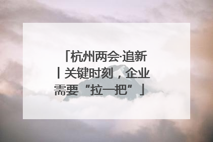 杭州两会·追新丨关键时刻，企业需要“拉一把”