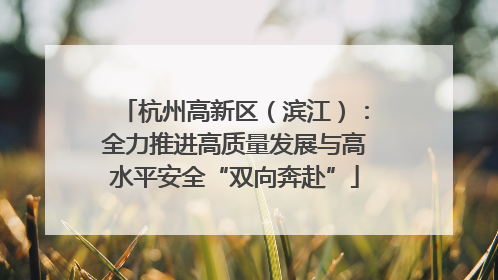 杭州高新区（滨江）：全力推进高质量发展与高水平安全“双向奔赴”