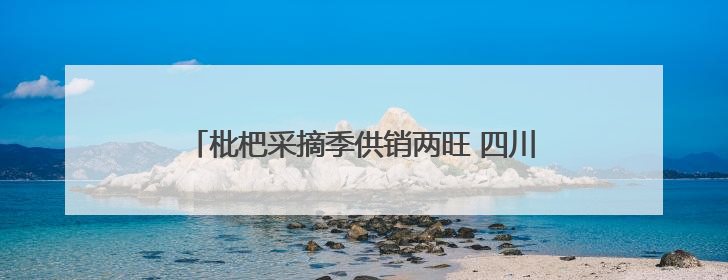 枇杷采摘季供销两旺 四川宝兴晚熟枇杷冷链发全国