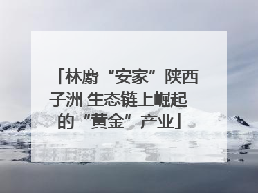 林麝“安家”陕西子洲 生态链上崛起的“黄金”产业
