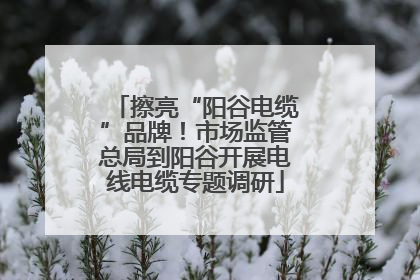 擦亮“阳谷电缆”品牌！市场监管总局到阳谷开展电线电缆专题调研
