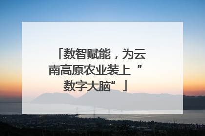 数智赋能，为云南高原农业装上“数字大脑”