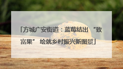 方城广安街道：蓝莓结出 “致富果” 绘就乡村振兴新图景