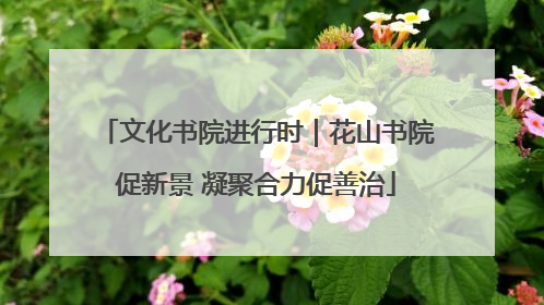 文化书院进行时｜花山书院促新景 凝聚合力促善治