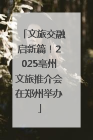 文旅交融启新篇！2025亳州文旅推介会在郑州举办