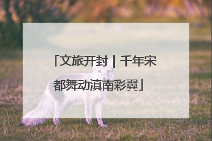 文旅开封｜千年宋都舞动滇南彩翼