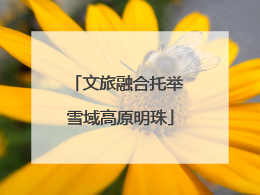 文旅融合托举雪域高原明珠