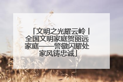 文明之光耀云岭丨全国文明家庭贺丽远家庭——警徽闪耀处 家风铸忠诚