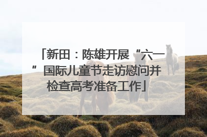 新田：陈雄开展“六一”国际儿童节走访慰问并检查高考准备工作