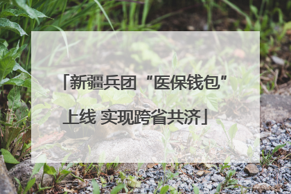 新疆兵团“医保钱包”上线 实现跨省共济
