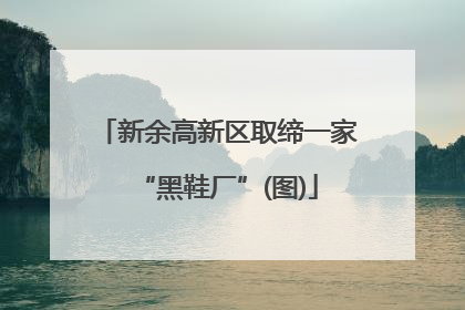 新余高新区取缔一家“黑鞋厂”(图)