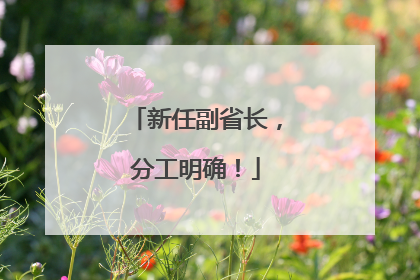 新任副省长，分工明确！