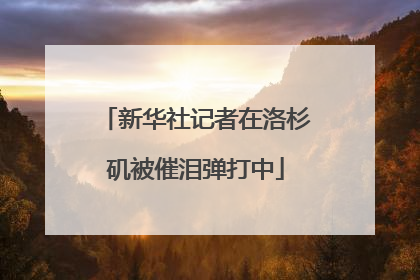 新华社记者在洛杉矶被催泪弹打中