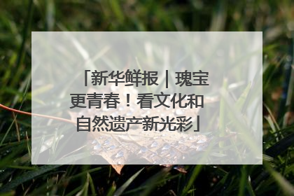 新华鲜报｜瑰宝更青春！看文化和自然遗产新光彩