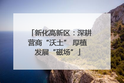 新化高新区：深耕营商“沃土” 厚植发展“磁场”