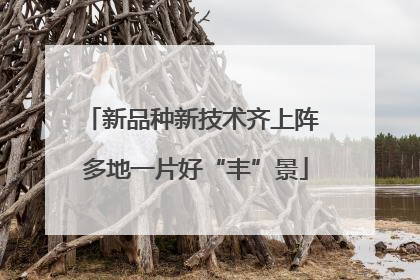 新品种新技术齐上阵 多地一片好“丰”景