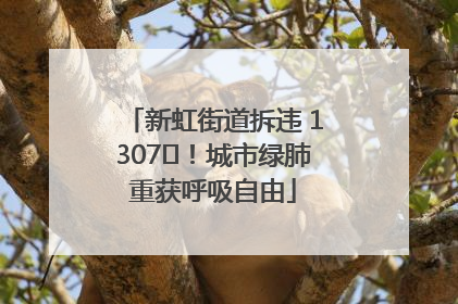 新虹街道拆违 1307㎡！城市绿肺重获呼吸自由