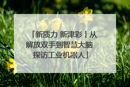 新质力 新津彩丨从解放双手到智慧大脑 探访工业机器人