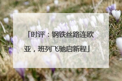 时评：钢铁丝路连欧亚，班列飞驰启新程