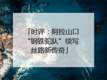 时评：阿拉山口“钢铁驼队”续写丝路新传奇