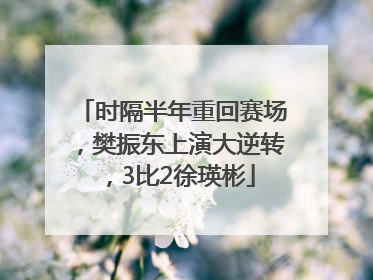 时隔半年重回赛场，樊振东上演大逆转，3比2徐瑛彬