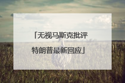 无视马斯克批评 特朗普最新回应