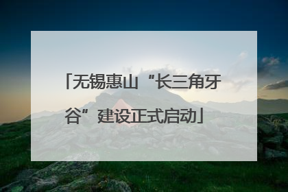 无锡惠山“长三角牙谷”建设正式启动