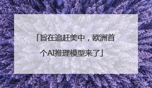 旨在追赶美中，欧洲首个AI推理模型来了