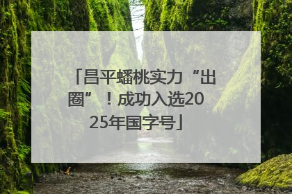昌平蟠桃实力“出圈”！成功入选2025年国字号
