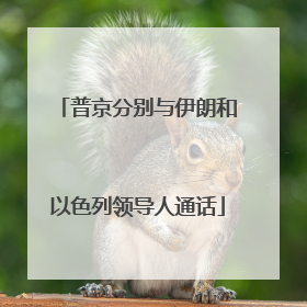 普京分别与伊朗和以色列领导人通话