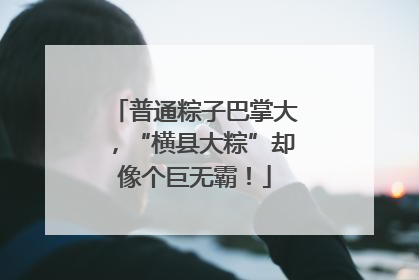 普通粽子巴掌大，“横县大粽”却像个巨无霸！